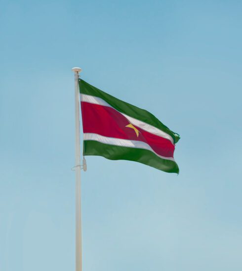 the flag of suriname
