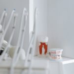 dental model on white table
